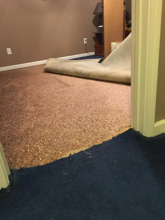 Carpet pad removal revealing water damage during Drying & Dehumidification in Economy