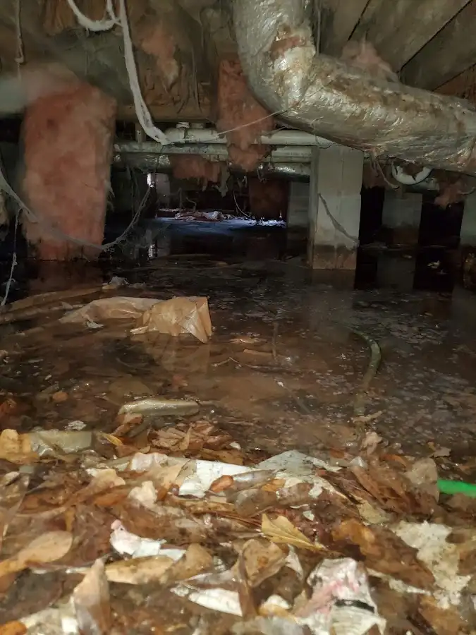 Crawl space flood assessment for Commercial Water Damage Restoration in Economy