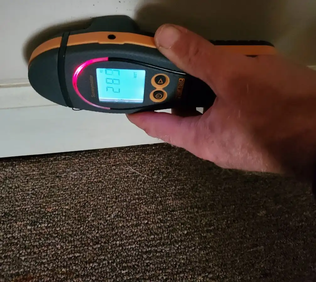 Moisture detection at baseboard during Sewage Cleanup & Sanitation in Economy